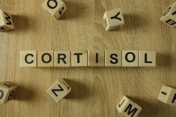 The Hidden Connection: How Stress Shapes Your Fitness and Body Composition 2 Image saying "Cortisol" and how stress Herne impacts your wellbeing and bodies shape